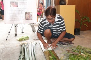 ABACAand piña fiber are major products of Aklan. The piña fiber is stripped manually using a piece of ceramic plate and transported to the town through the Aklan River.