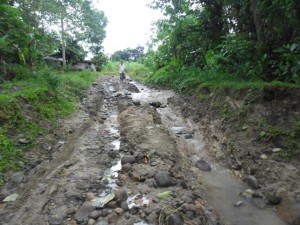 For decades, residents of Barangay Cambayobo, Calatrava, Negros Occidental pass by this rugged road to bring their farm produce to the town proper. 