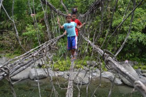 monkey bridge